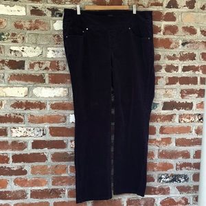 Women’s Plus Size Jag Jeans Curve Fit Corduroy